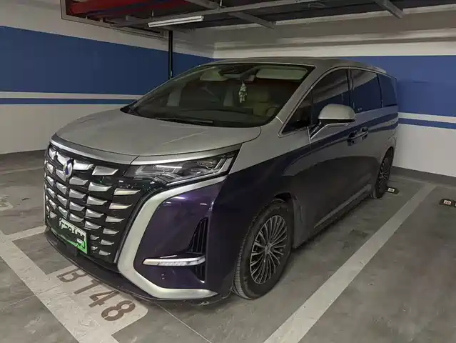 2023 Denza D9