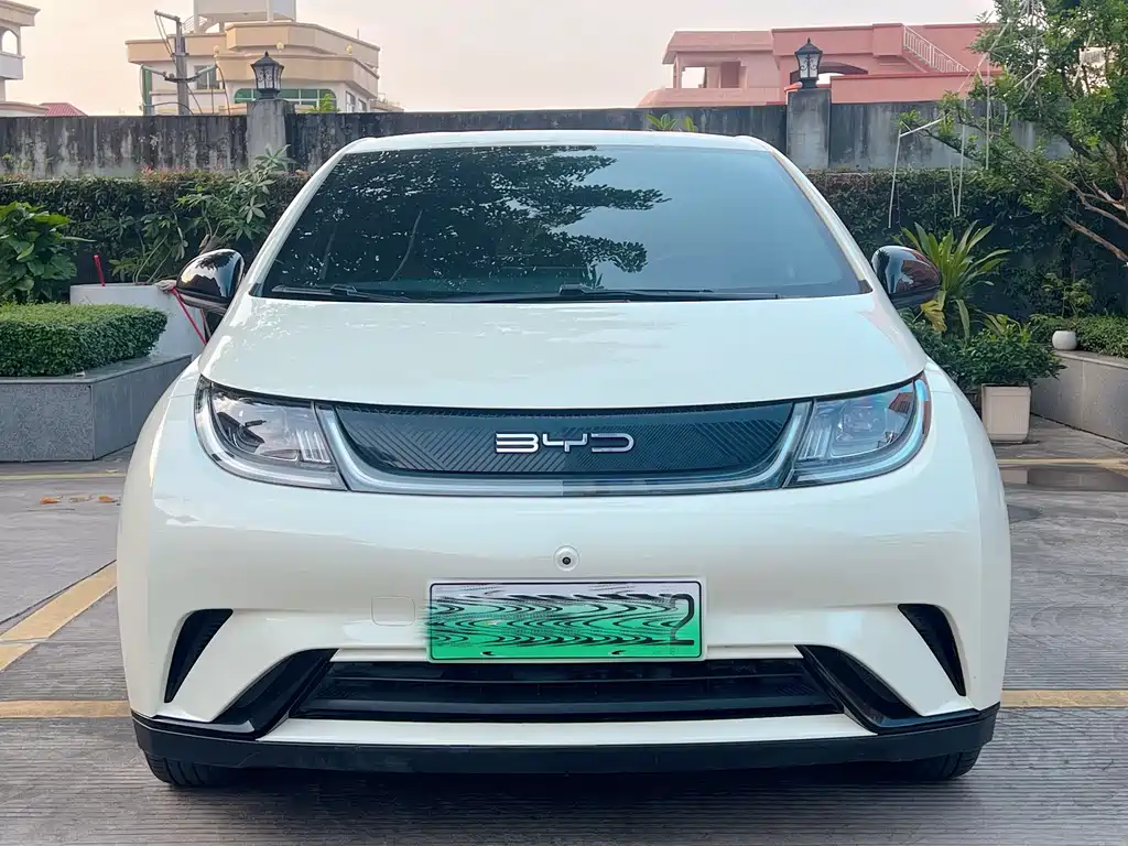 BYD Dolphin — миниатюра 2