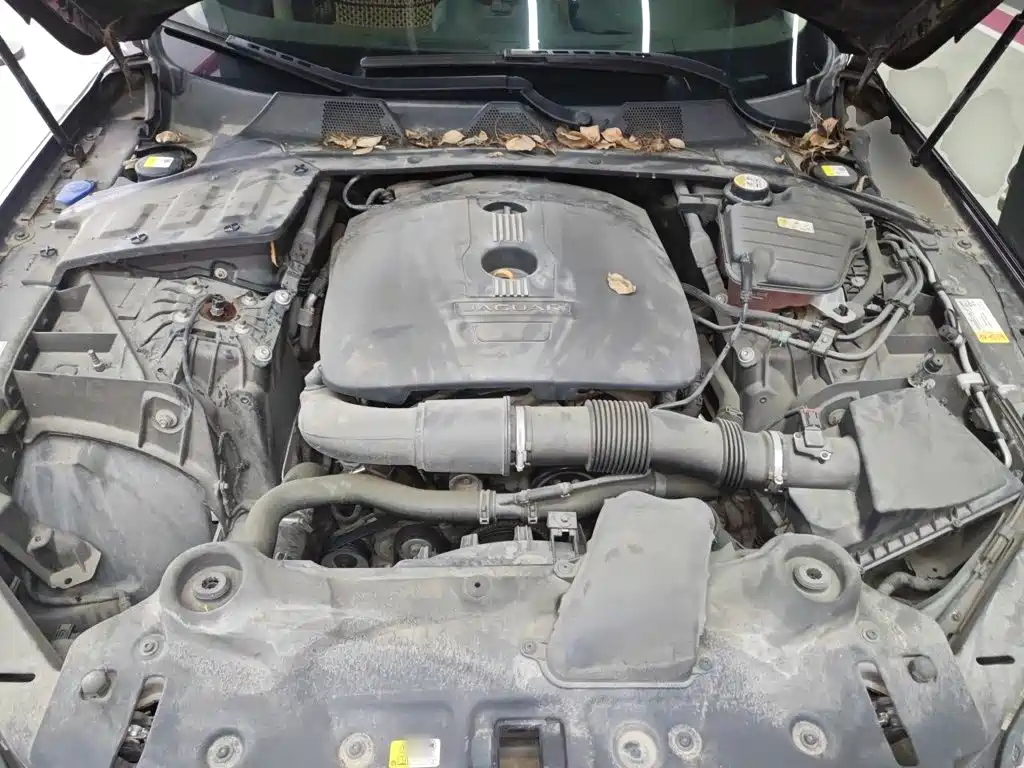 Jaguar XJ — миниатюра 11