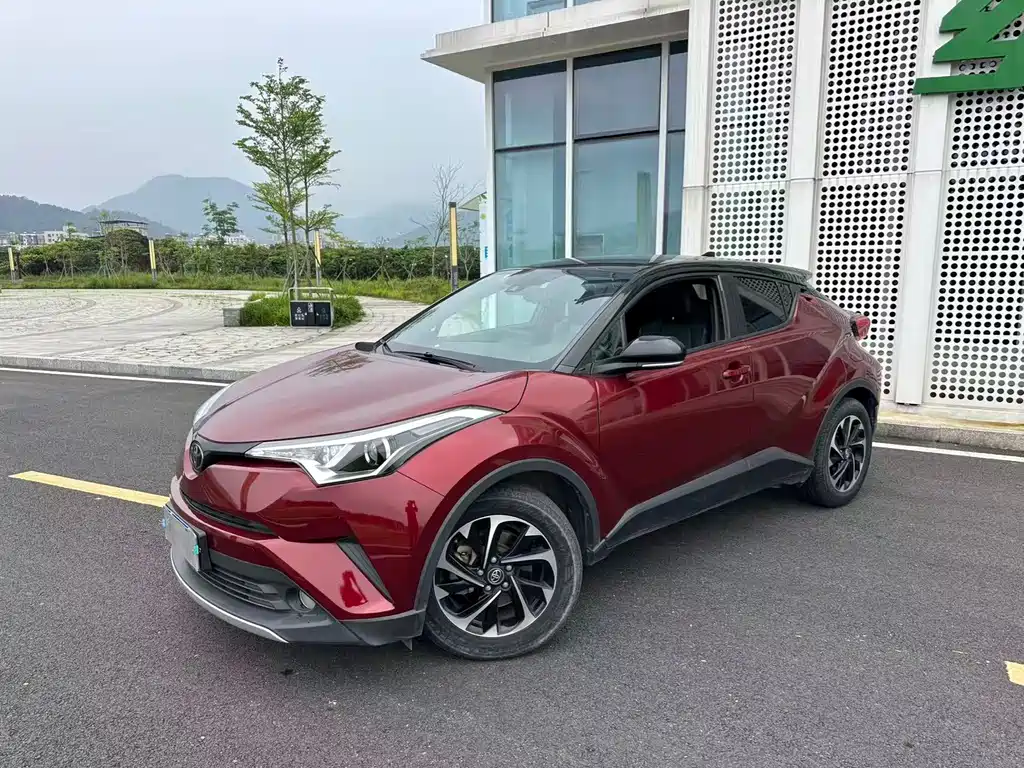 Toyota IZOA 2019