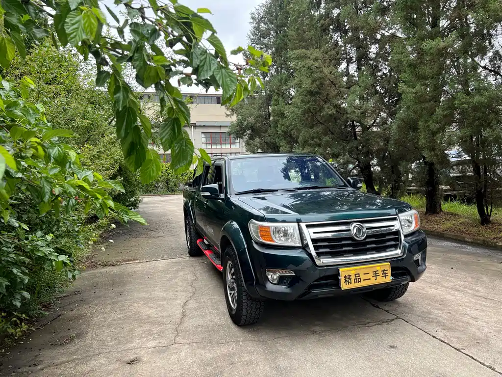 DONGFENG RUIQI