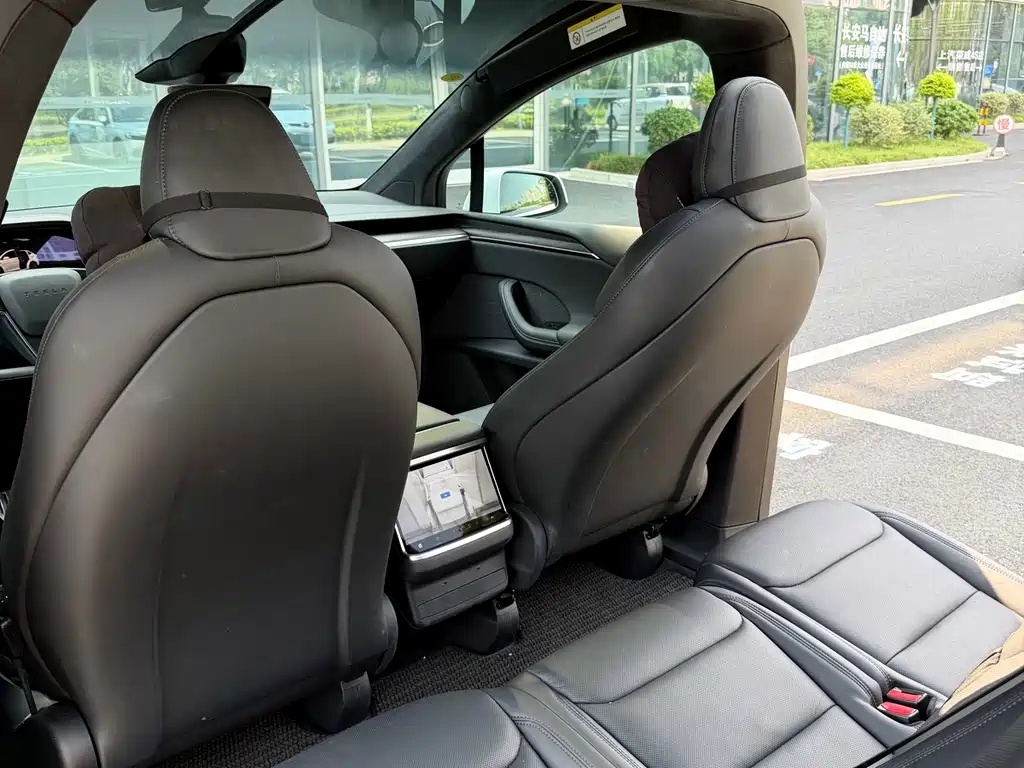 Tesla Model X — миниатюра 8