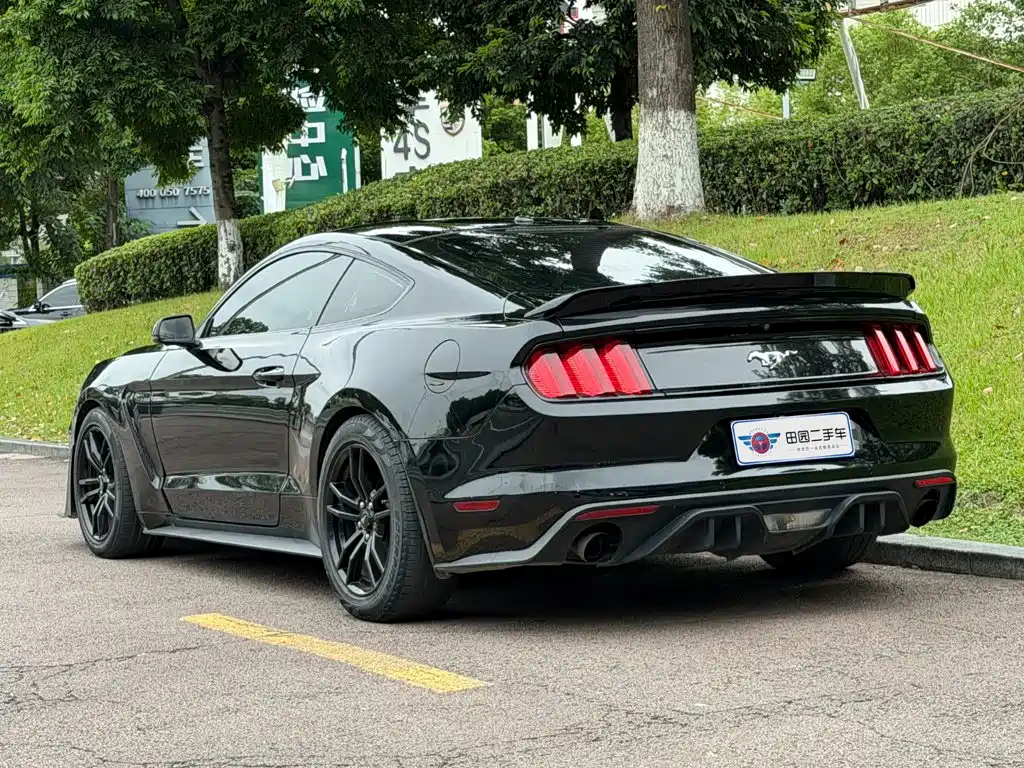 Ford Mustang — миниатюра 4