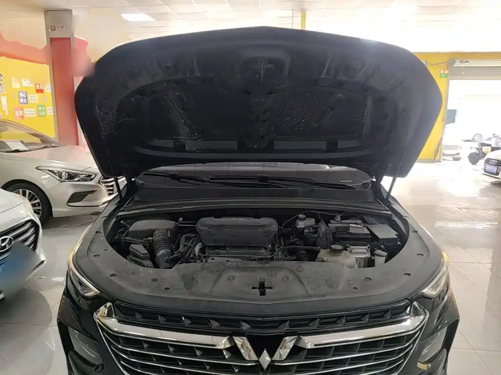 Wuling Victory — миниатюра 20