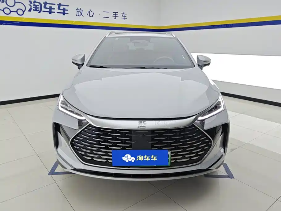 BYD Tang New Energy — миниатюра 2
