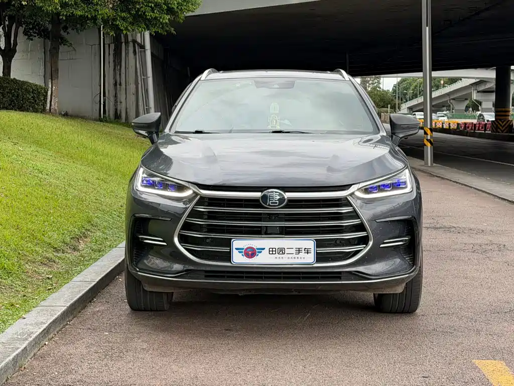BYD Tang New Energy — миниатюра 2