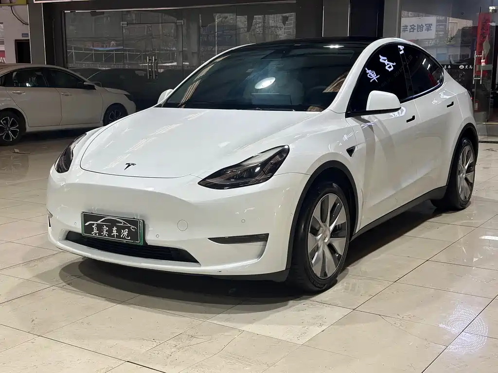 Tesla Model Y 2021