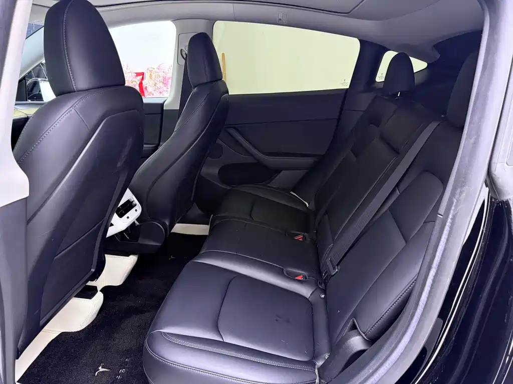 Tesla Model Y — миниатюра 13