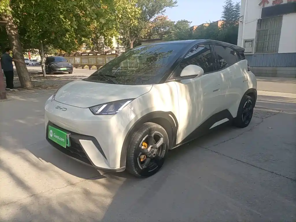BYD Seagull 2023 Freedom