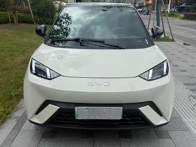 2025 BYD Seagull