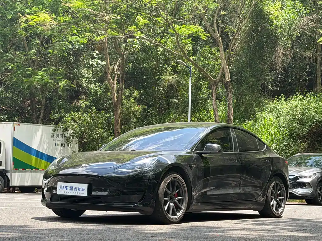 Tesla Model 3 2021