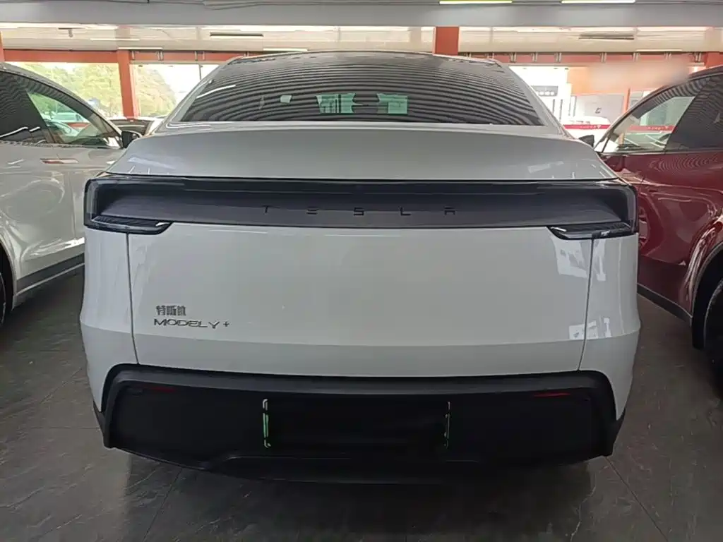 Tesla Model Y — миниатюра 6