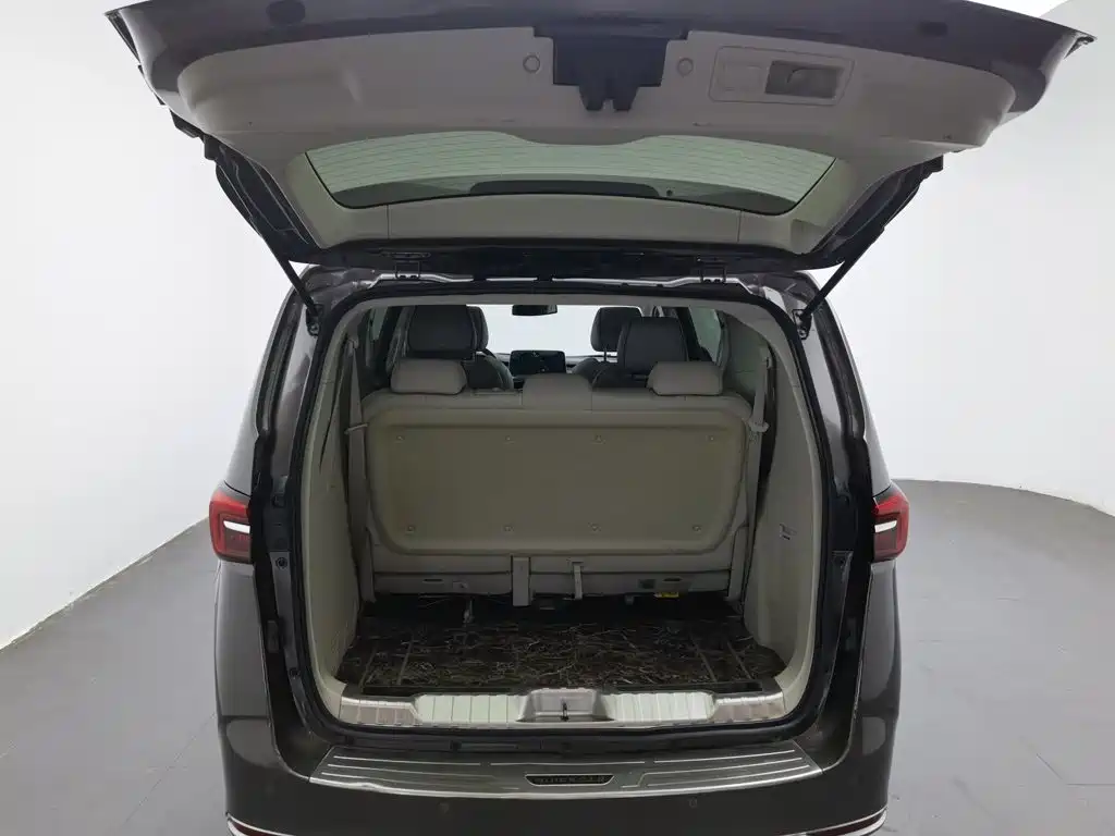 Buick GL8 — миниатюра 16