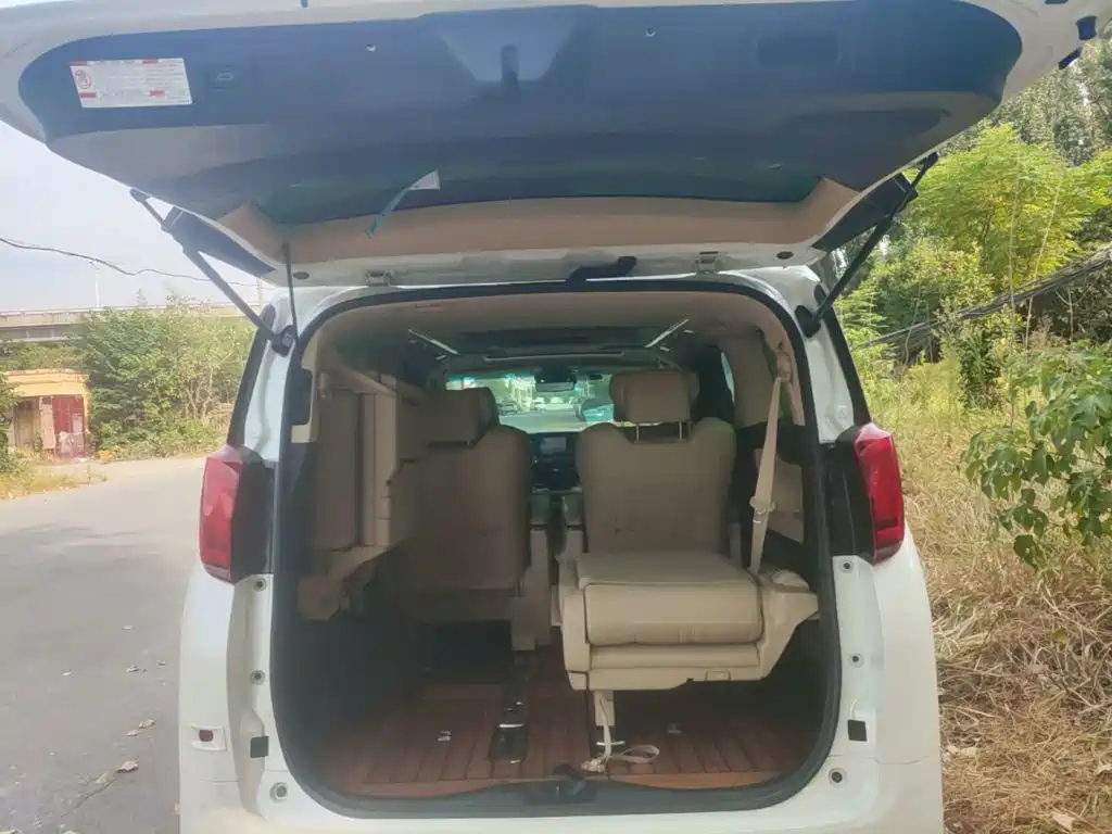 Toyota Alphard — миниатюра 19