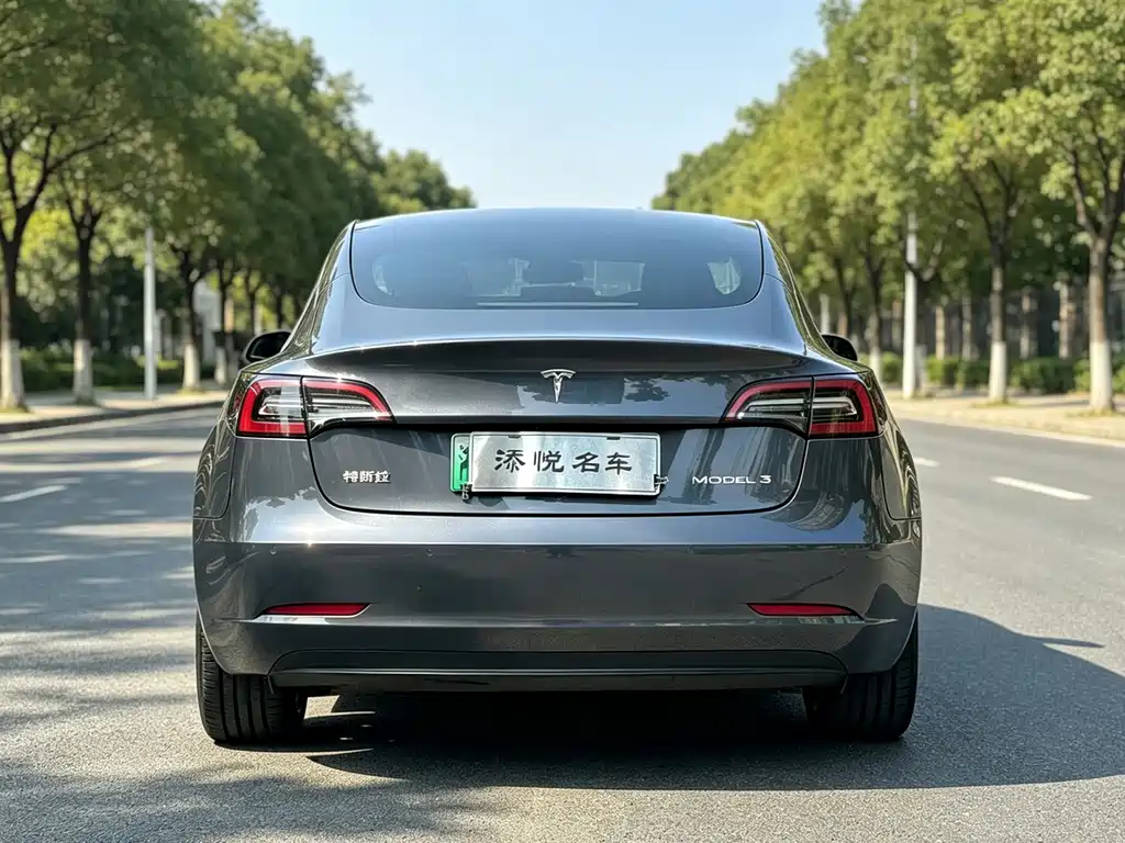 Tesla Model 3 — миниатюра 6