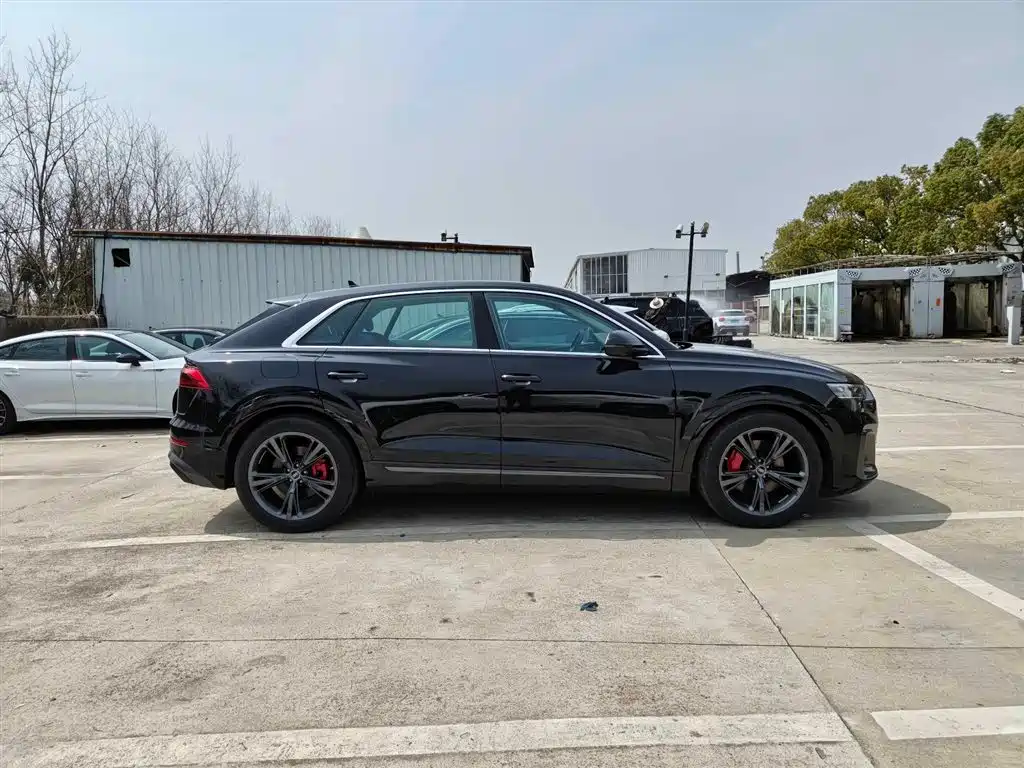 Audi Q8 2024 55 TFSI Luxury