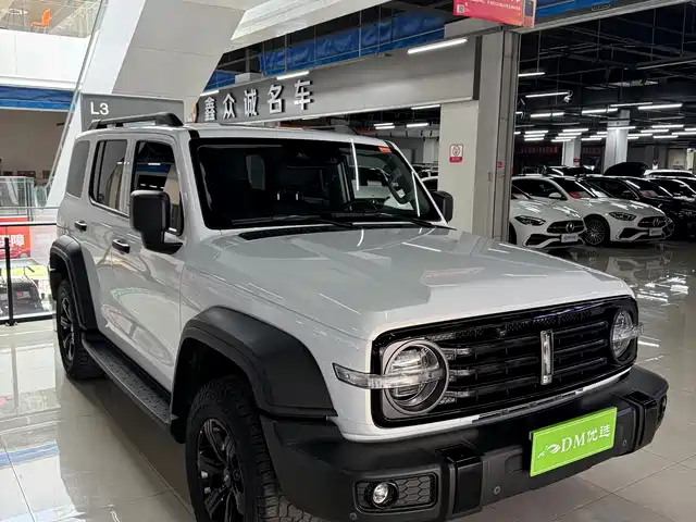 2021 TANK 300