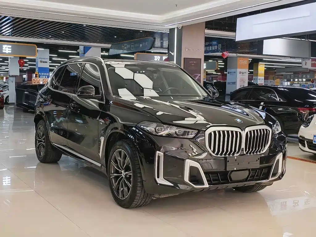 BMW X5 — миниатюра 3