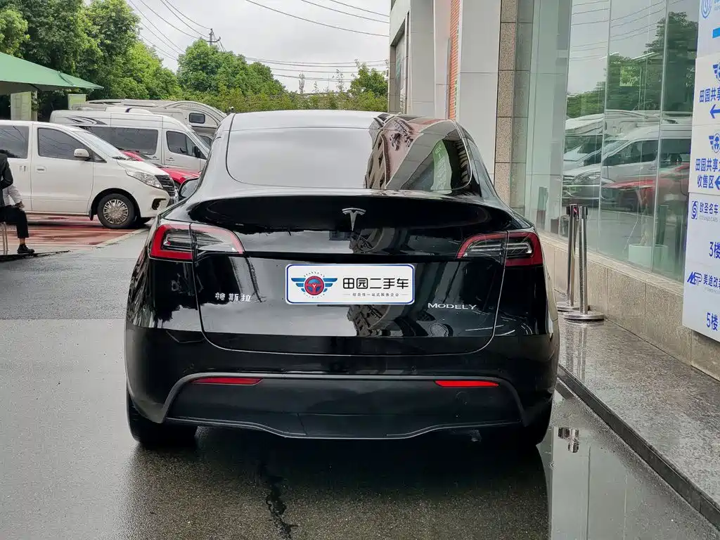Tesla Model Y — миниатюра 5