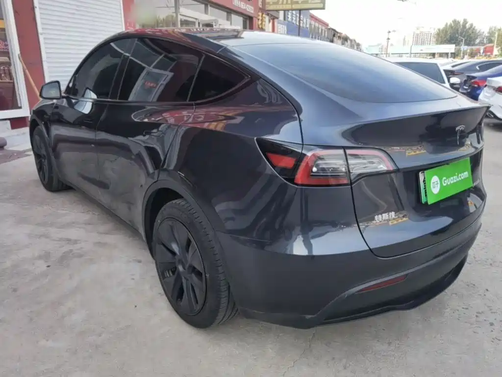 Tesla Model Y — миниатюра 5