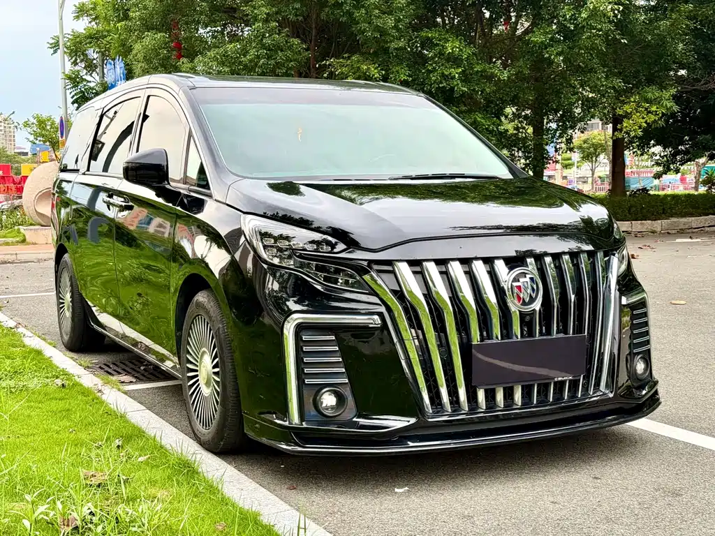 Buick GL8 — миниатюра 3