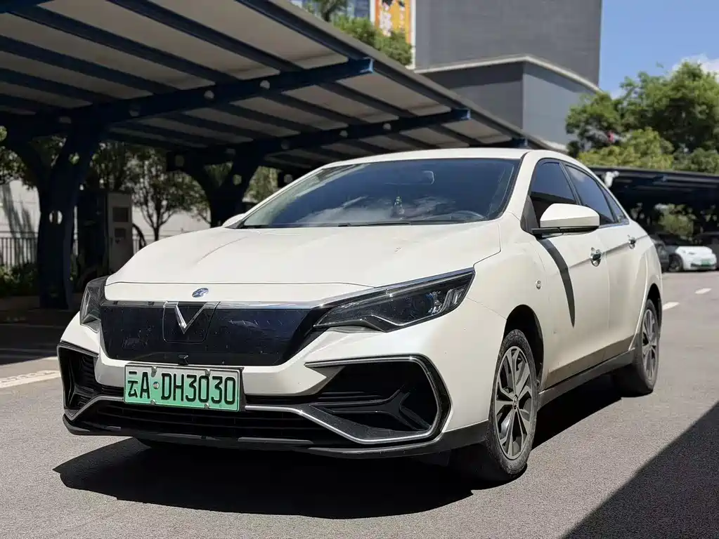 Venucia D60 EV 2022