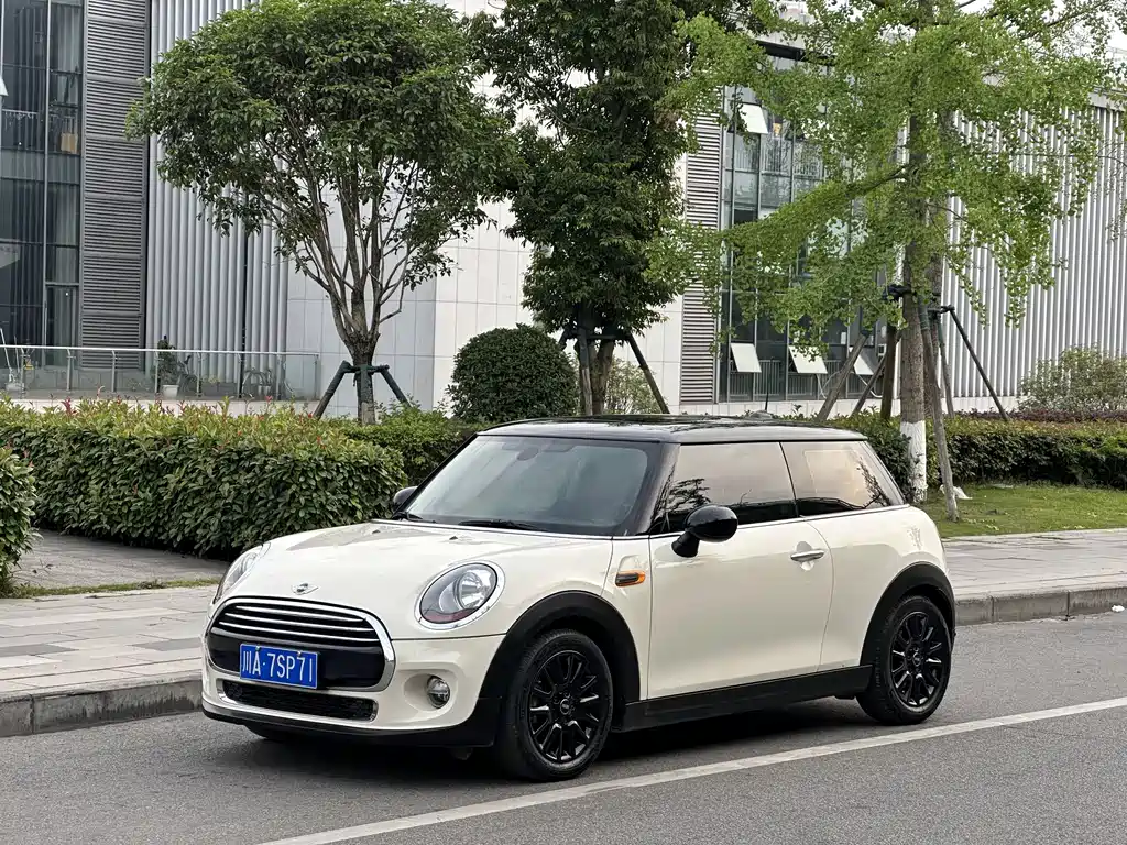 Mini Mini 2015