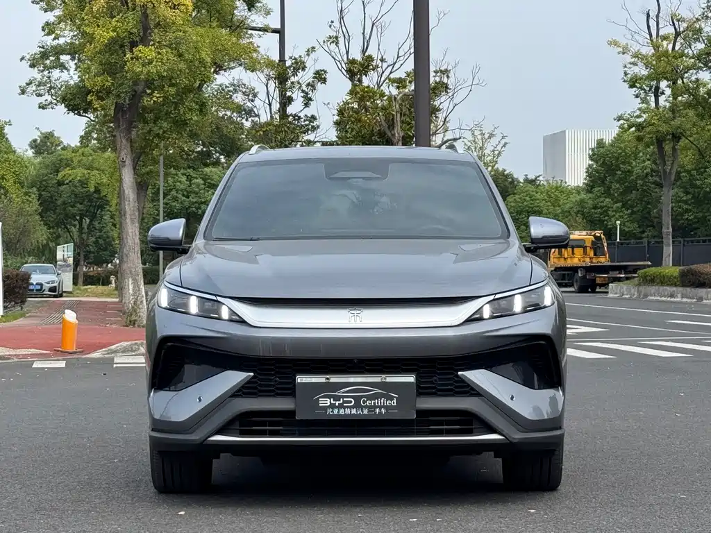 BYD Pro New Energy — миниатюра 2