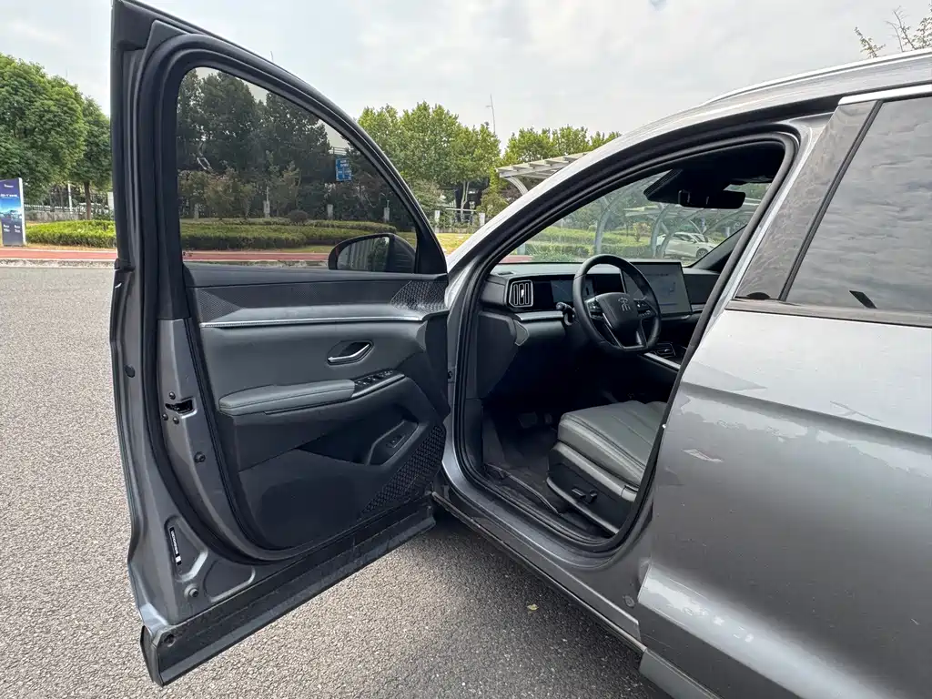 BYD Pro New Energy — миниатюра 11