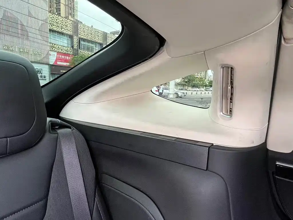 Tesla Model X — миниатюра 19