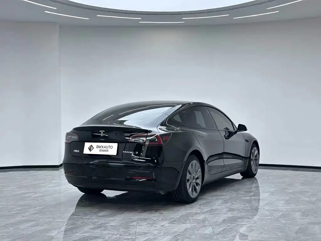 Tesla Model 3 — миниатюра 4