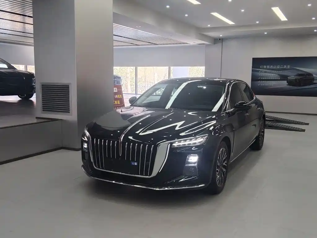 Hongqi Hongqi H5 2024
