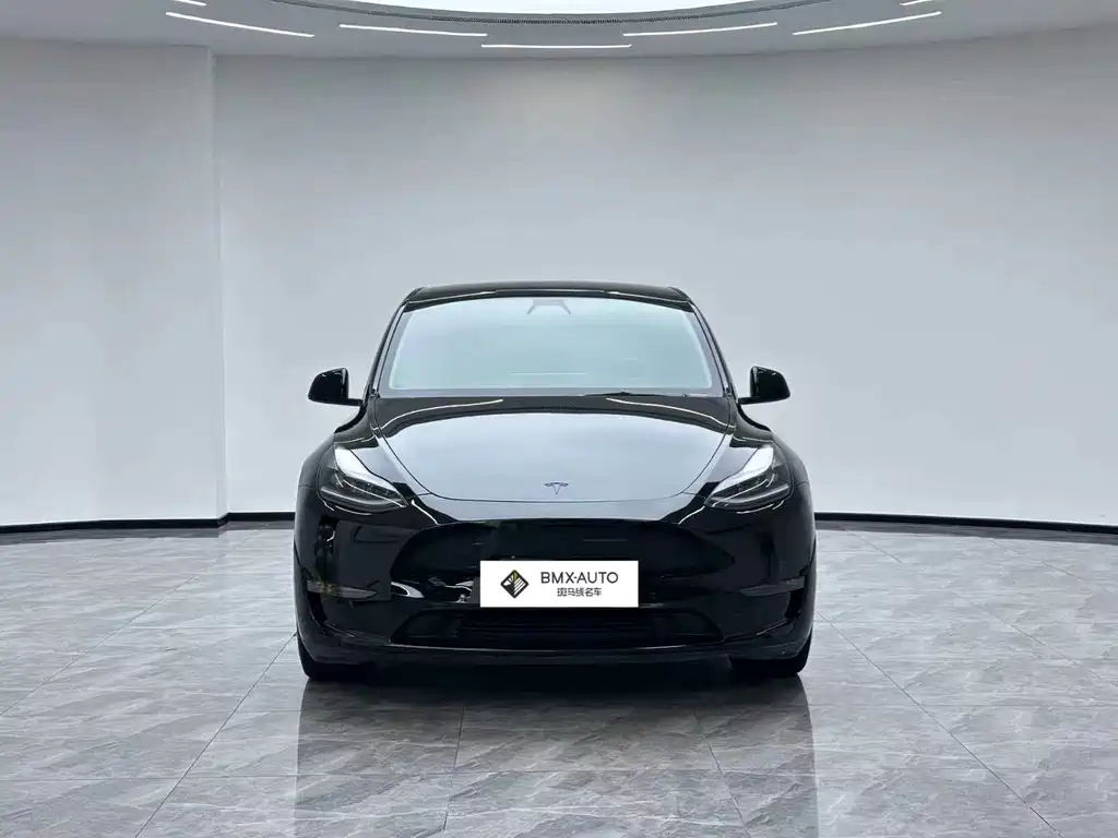 Tesla Model Y — миниатюра 5