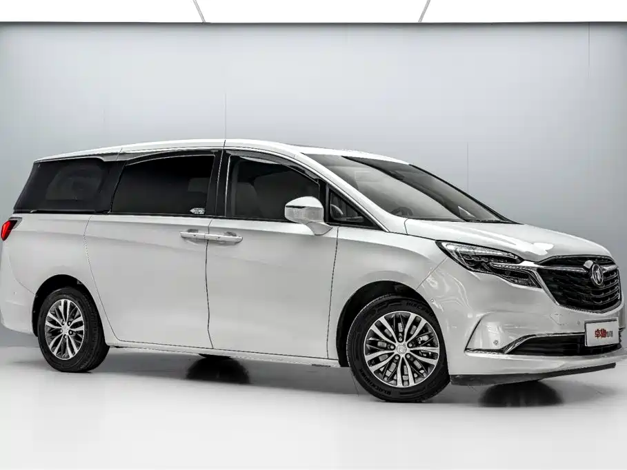 Buick GL8 — миниатюра 3