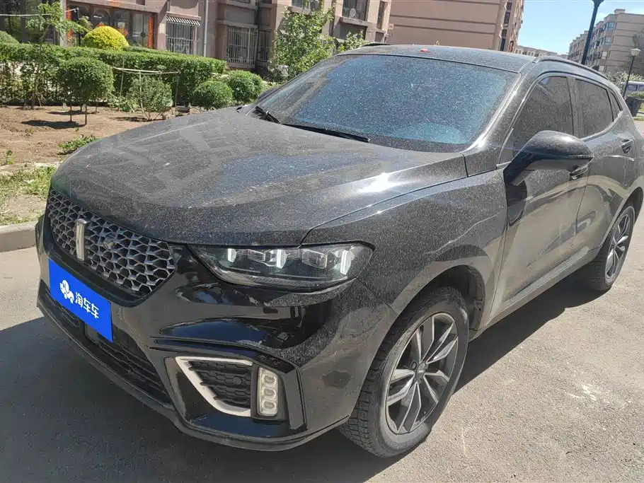 Купить Wey Wey VV5