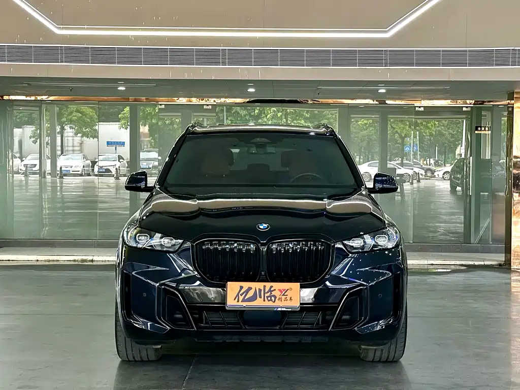 BMW X5 — миниатюра 2