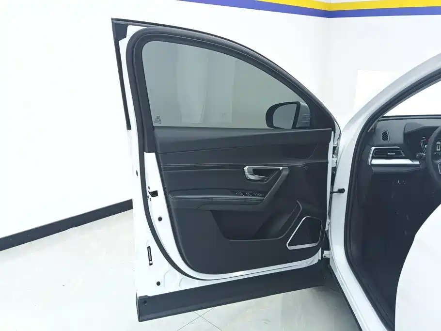 BYD Pro — миниатюра 7