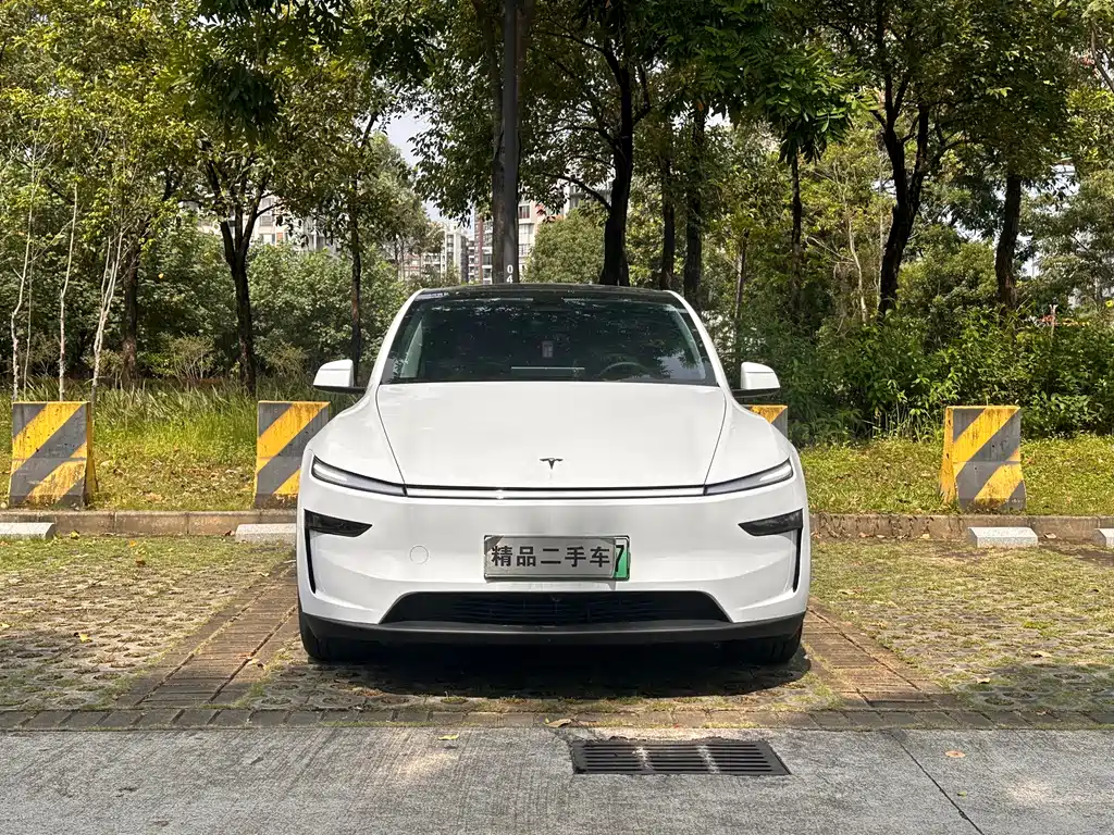 Tesla Model Y — фотографии объявления, Фото 3