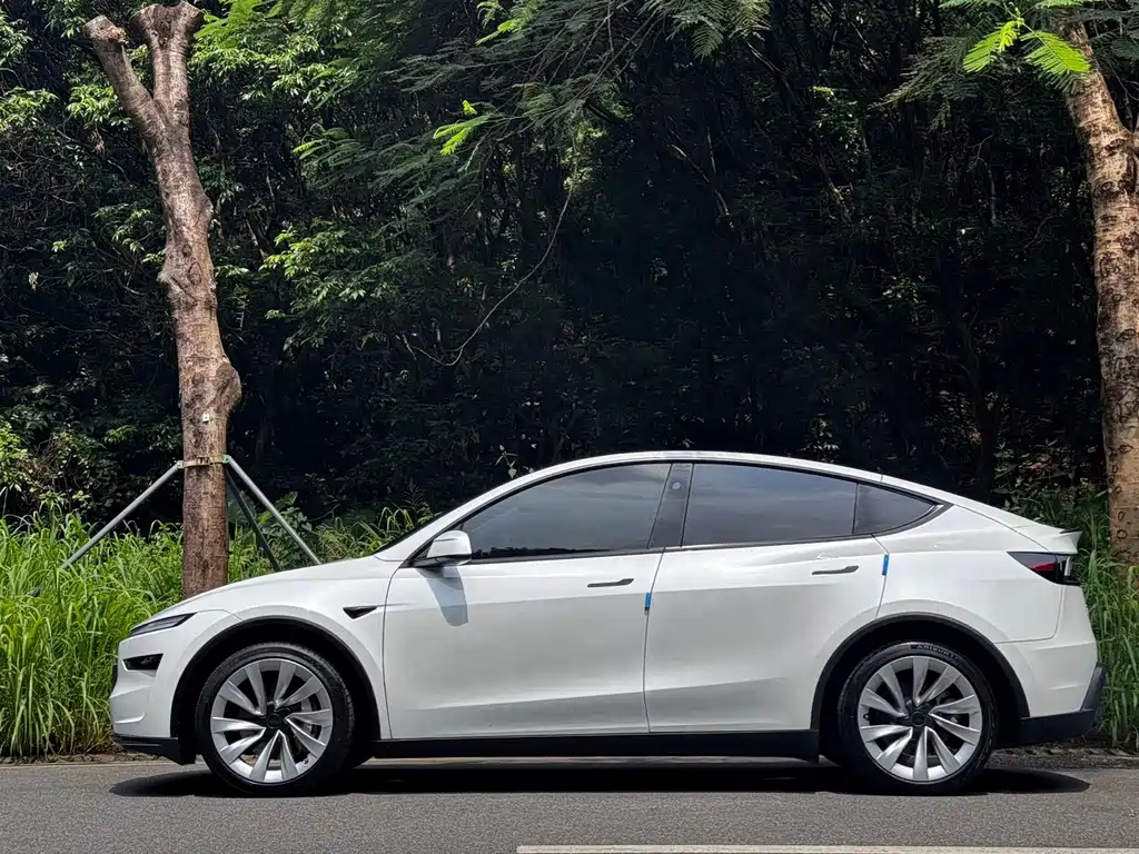 Tesla Model Y — миниатюра 2