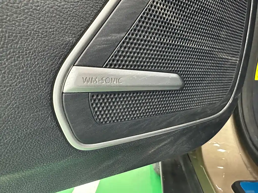 WM Motor EX5 — миниатюра 20