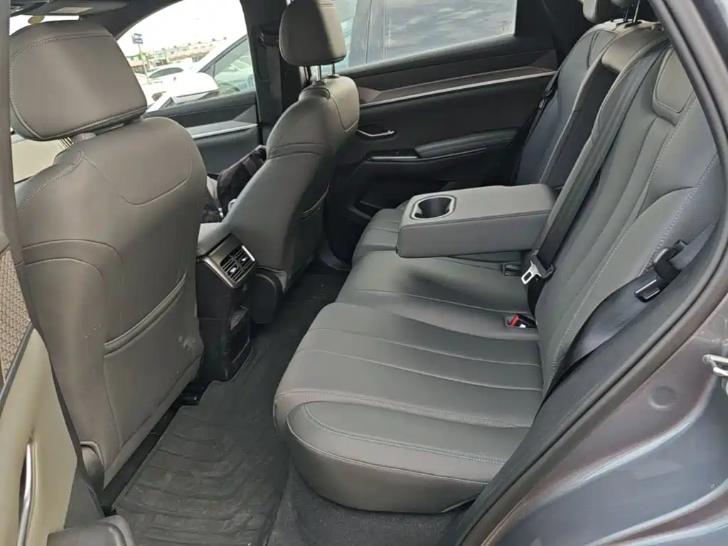 BYD Pro New Energy — миниатюра 17