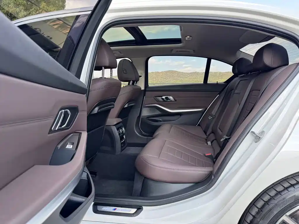 BMW 3 Series 3 2020 320Li M Sport
