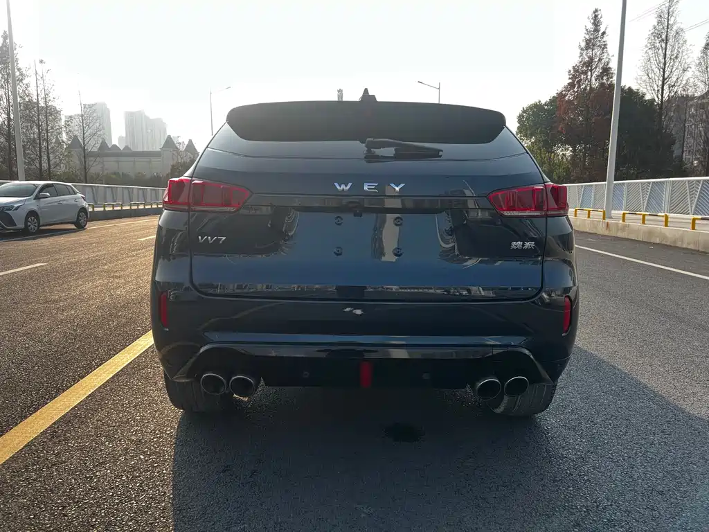 WEI PAI WEI BRAND VV7