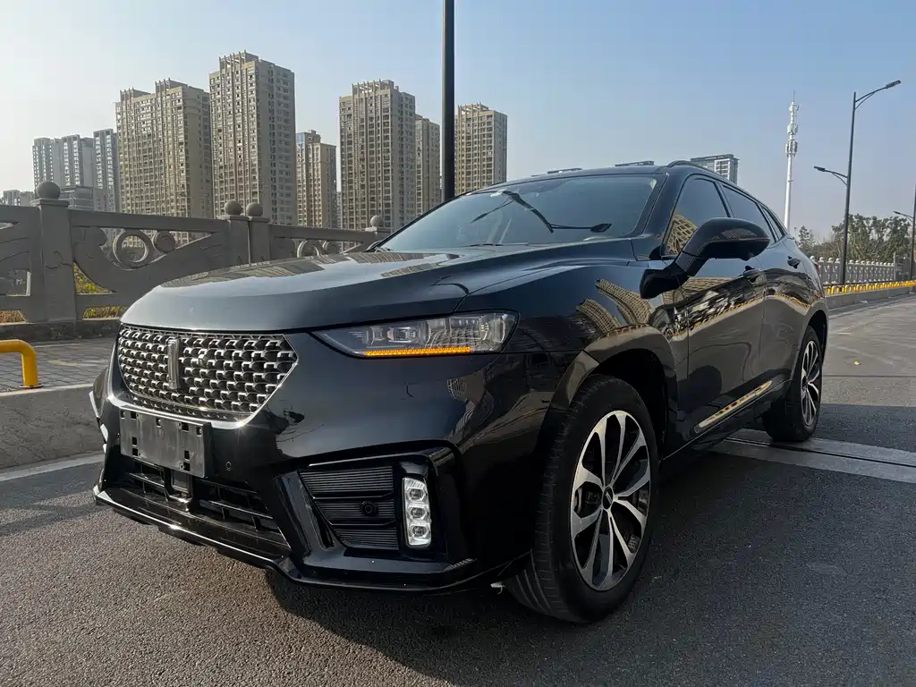 WEI PAI WEI BRAND VV7