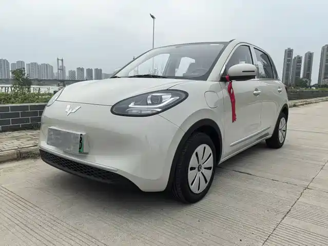 WULING AUTOMOBILE WULING BINGGUO 2025