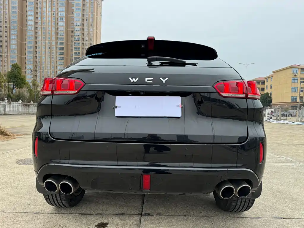 WEI PAI WEI BRAND VV5