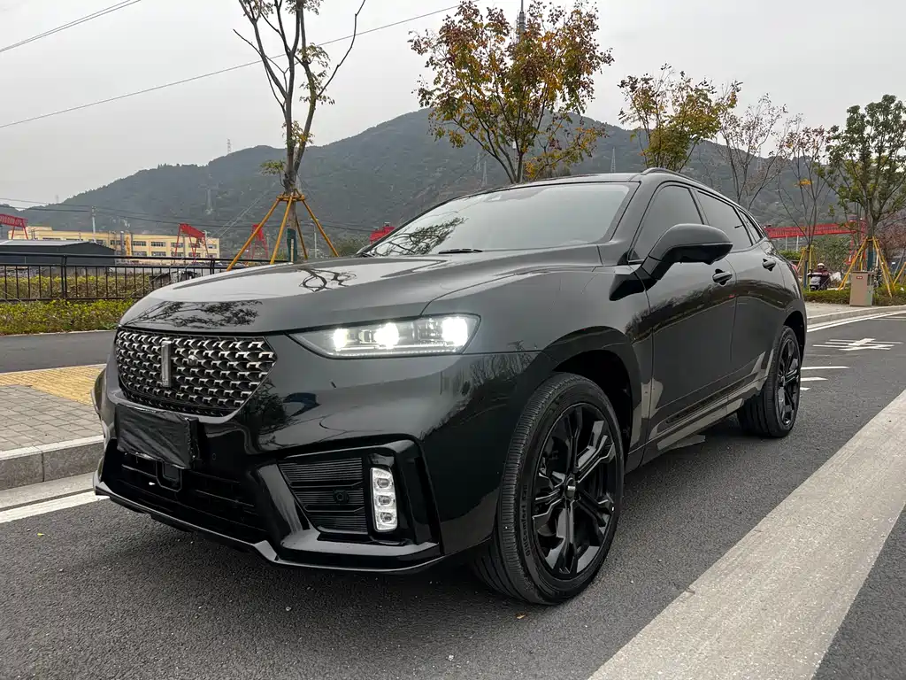 WEI PAI WEI BRAND VV7