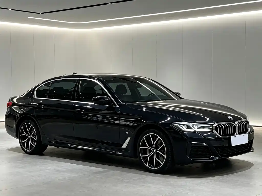 BMW 5 Series — миниатюра 2