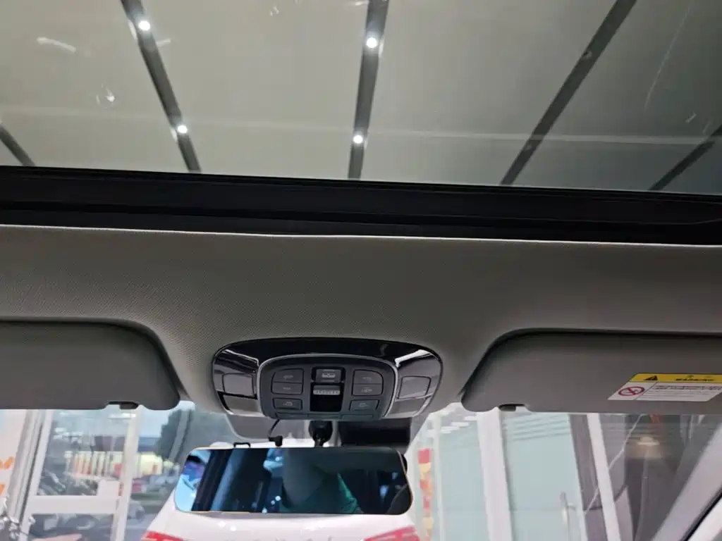 Hyundai Custo — миниатюра 18