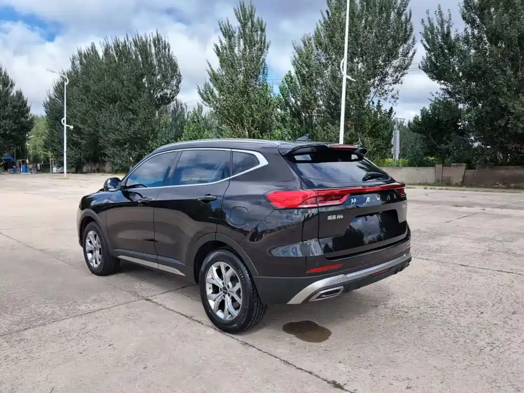Haval H6 — миниатюра 7